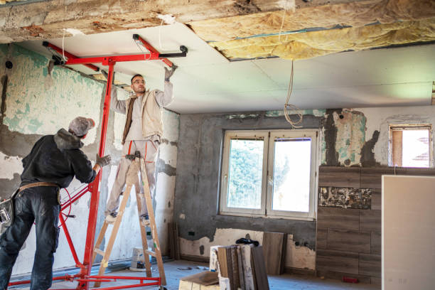 Best Wall Insulation Contractor  in Tyler, MN