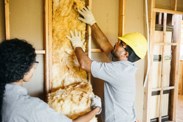 Best Cellulose Insulation  in Tyler, MN