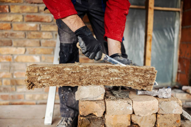 Best Professional Insulation Contractor  in Tyler, MN